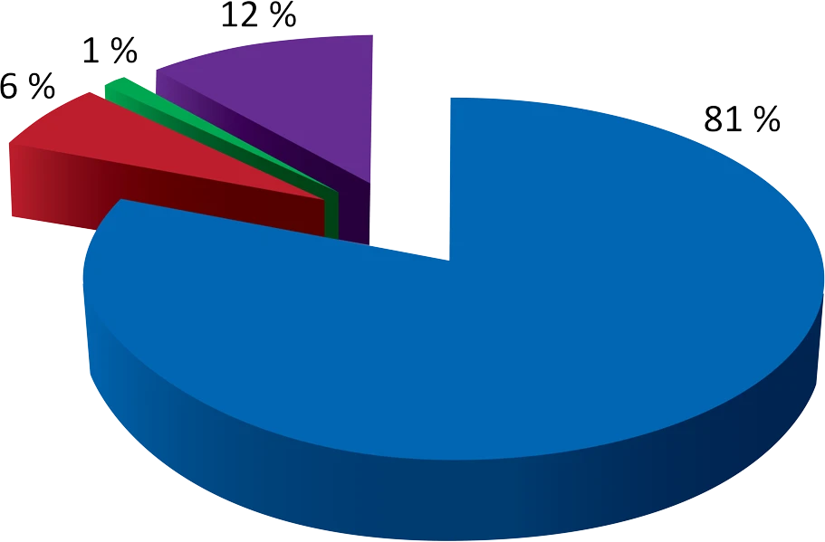 Graf podílu nákladů na provoz kompresoru: elektrická energie 81 %, údržba 12 %, cena kompresoru 6 %, instalace 1 %